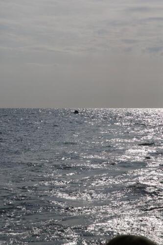 20120506-untitled-625