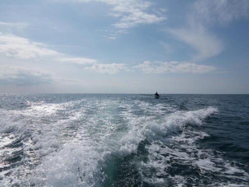 20120506-untitled-629